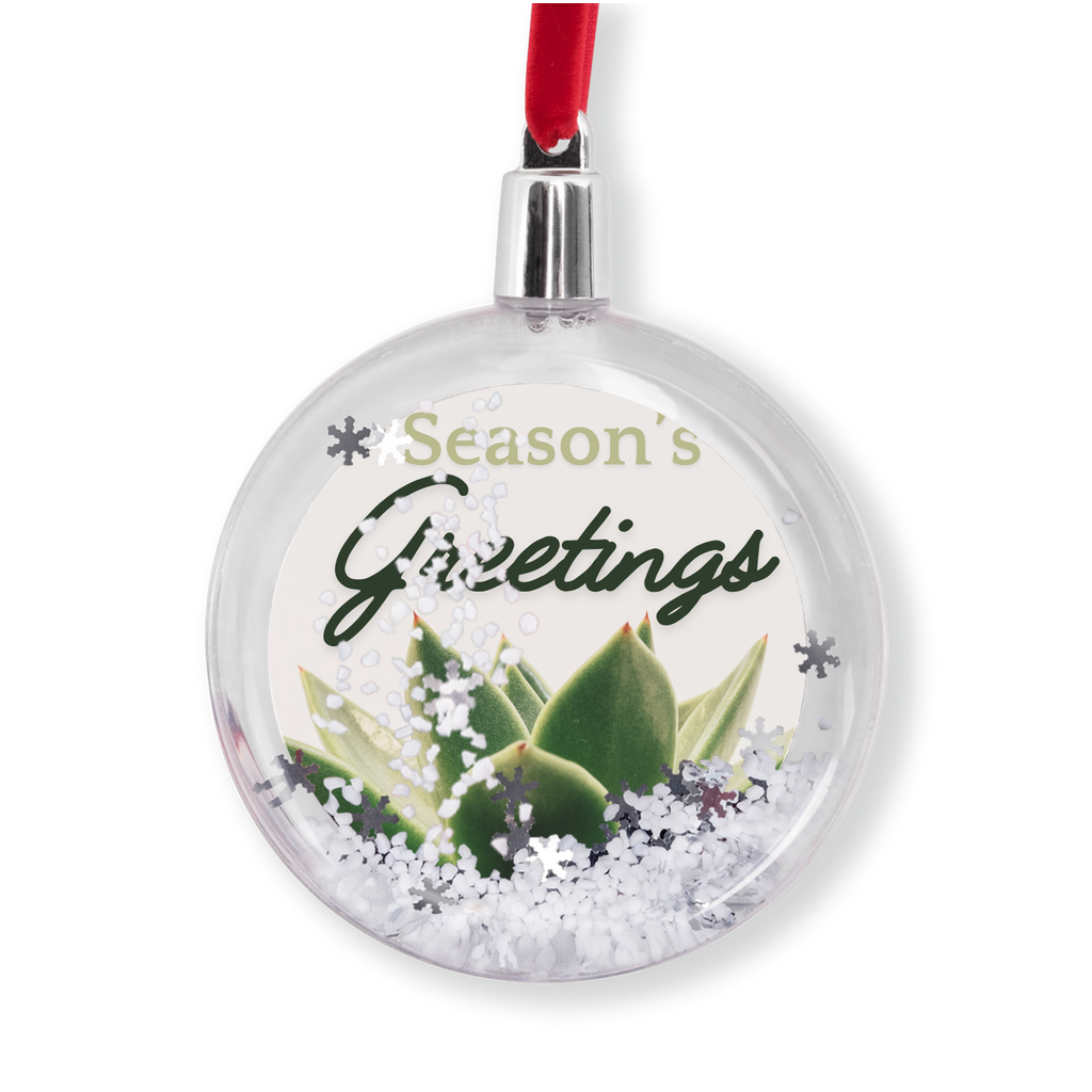 Season's Greeting Snow Globe Ornament